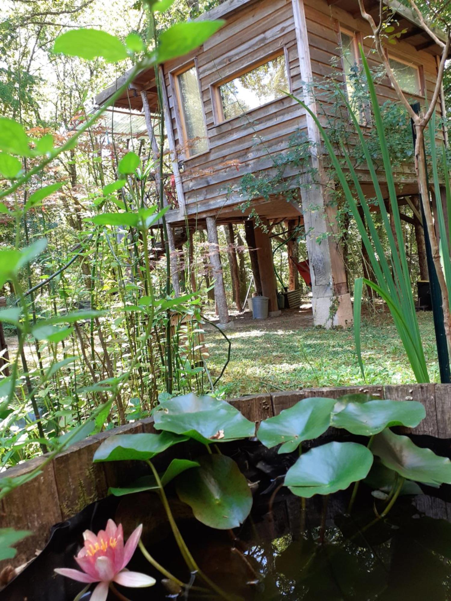 La Cabane De L'Oiseau Couze-et-Saint-Front Exterior foto